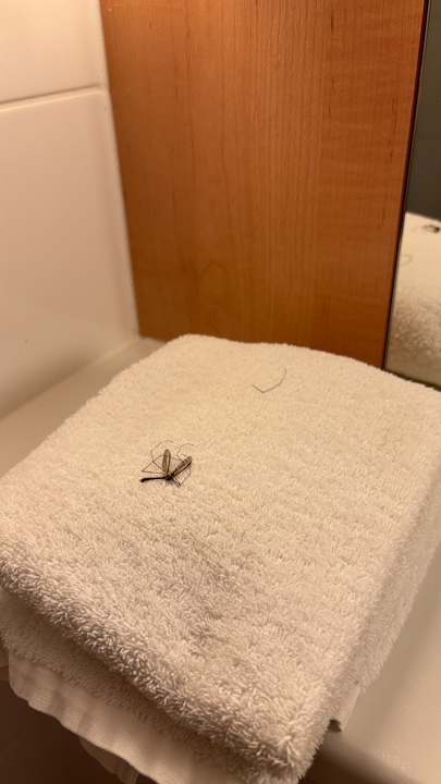 Zimmer B&B Hotel Duisburg Hbf-Nord