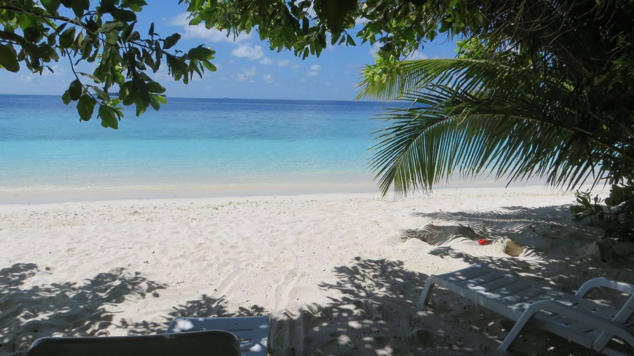 Hotel Fihalhohi Island Resort Fihalhohi Maldives