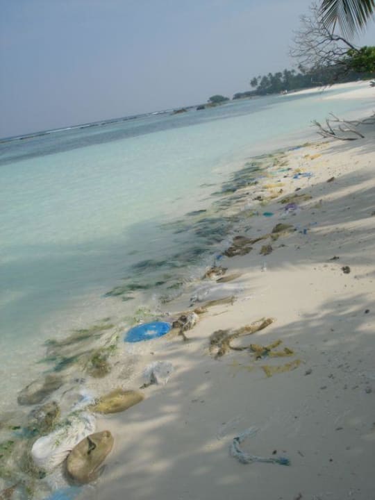 Strandseite der Bungis Kuredu Island Resort & Spa