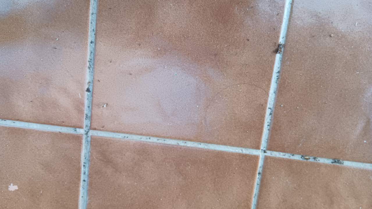 Sonstiges Ahoi! Urban Beach Hotel