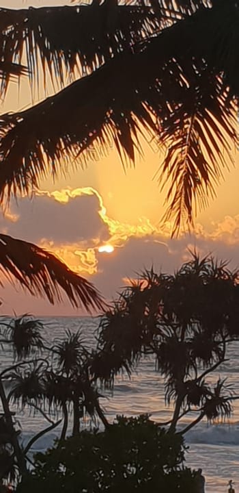 Strand Royal Palms Beach Hotel