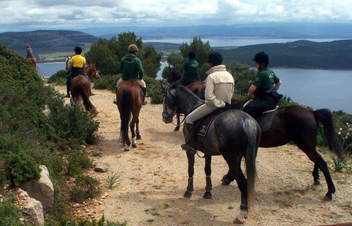 Horse riding   Alghero Resort Country Hotel