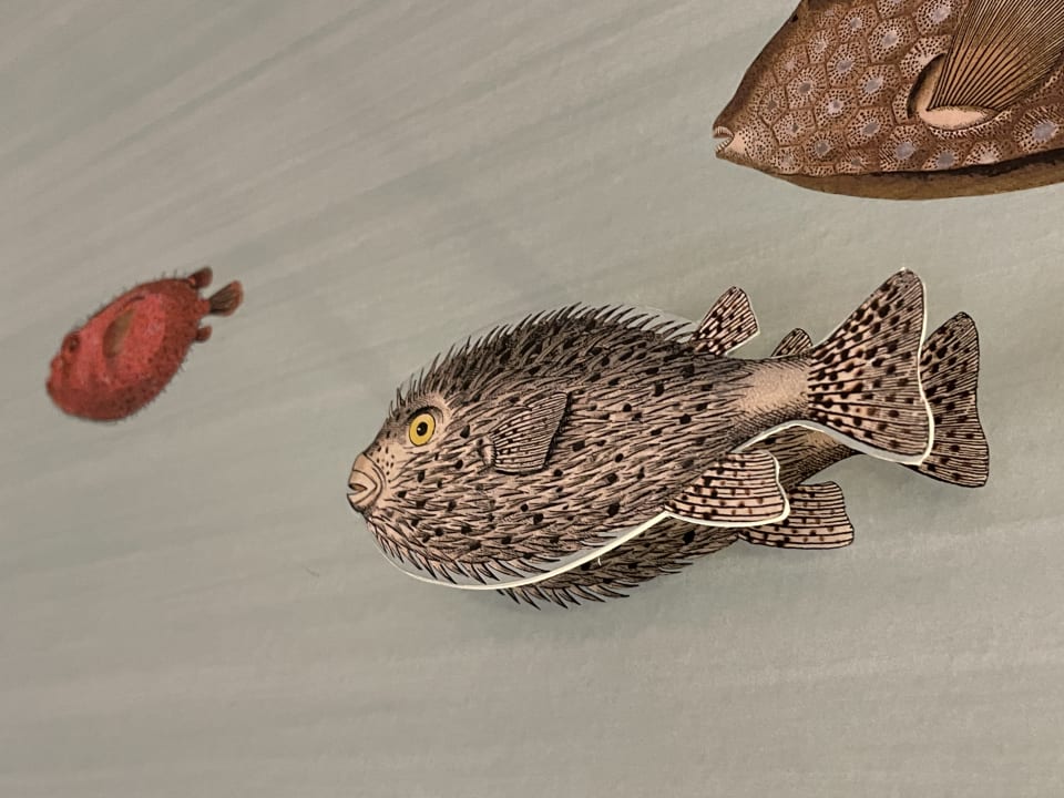 Zimmer Hotel Continental Genova