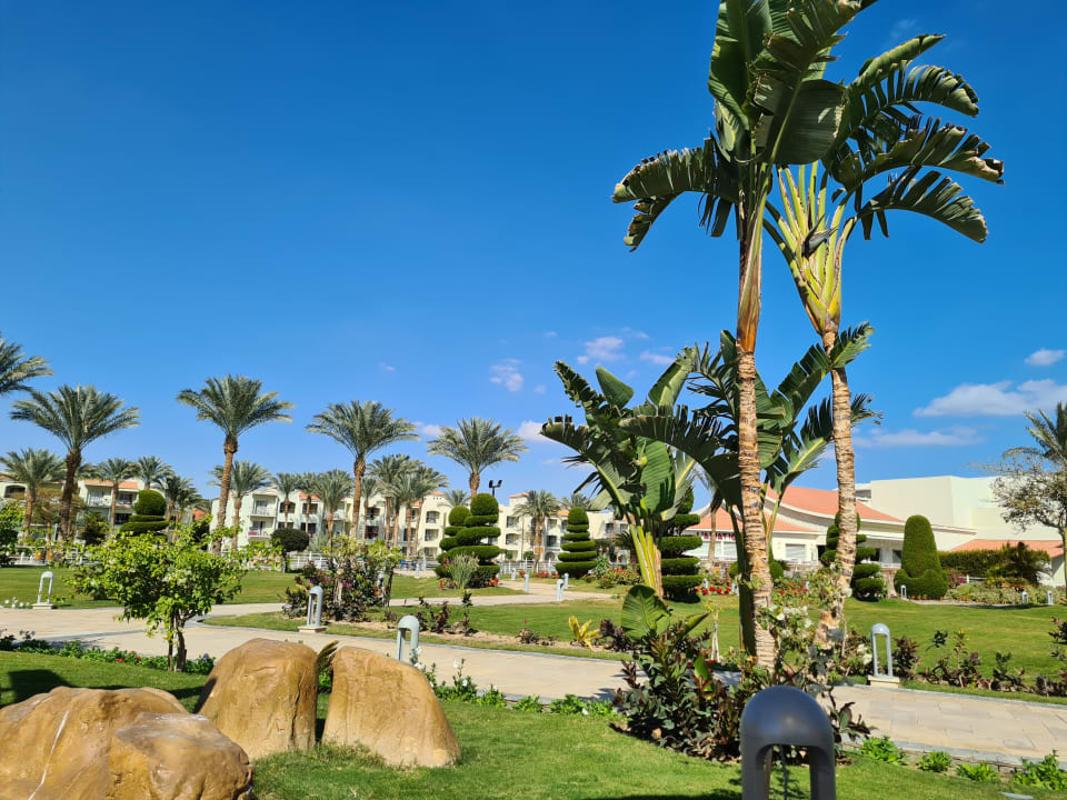 Gartenanlage Pickalbatros Dana Beach Resort - Hurghada