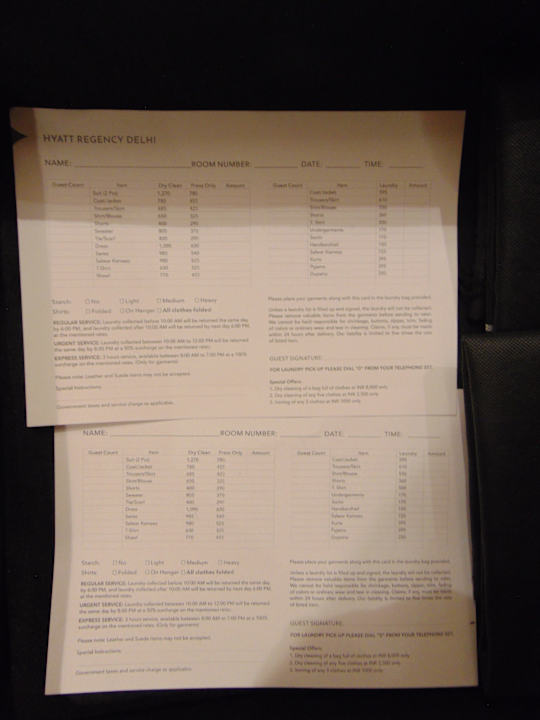 Zimmer Hotel Hyatt Regency Delhi