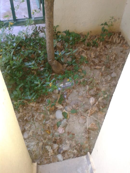 Noch mehr Dreck neben unserer Terrasse Oz Hotels Incekum Beach