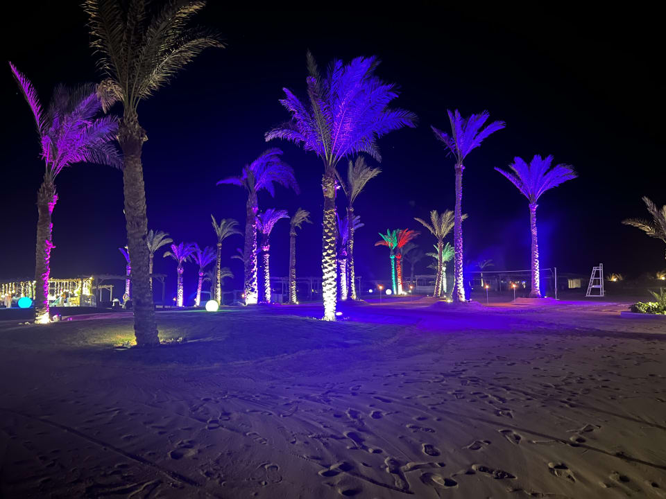 Strand Steigenberger Resort Alaya Marsa Alam - Red Sea - Adults only