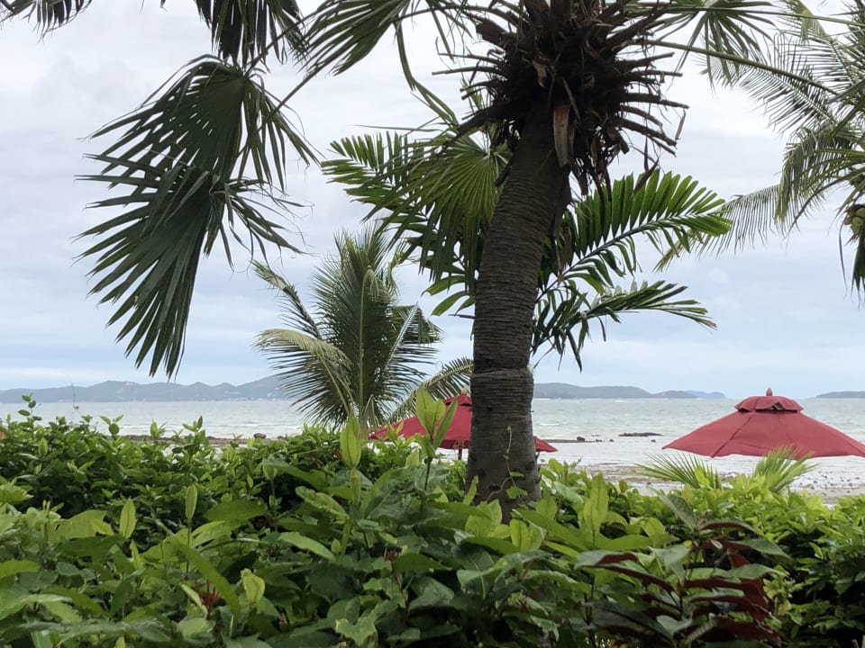 Strand InterContinental Pattaya Resort