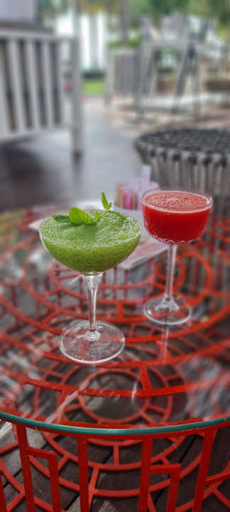 Gastro Acanthus Cennet Barut Collection