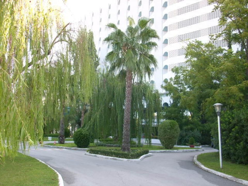 Vor dem Hotel am Parkplatz Pallini Beach Hotel