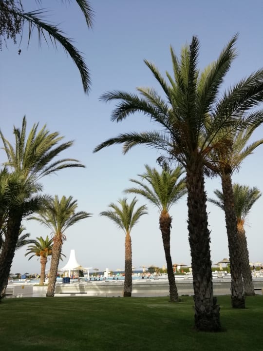 Gartenanlage Iberostar Waves Averroes