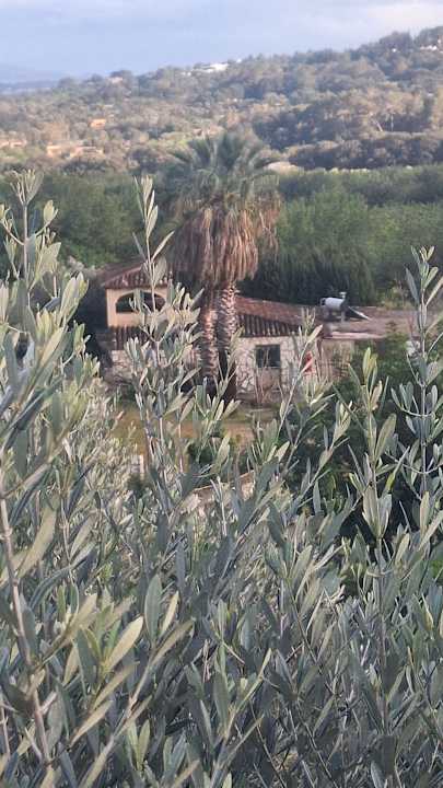 Gartenanlage Finca Hotel & Spa Monnaber Nou