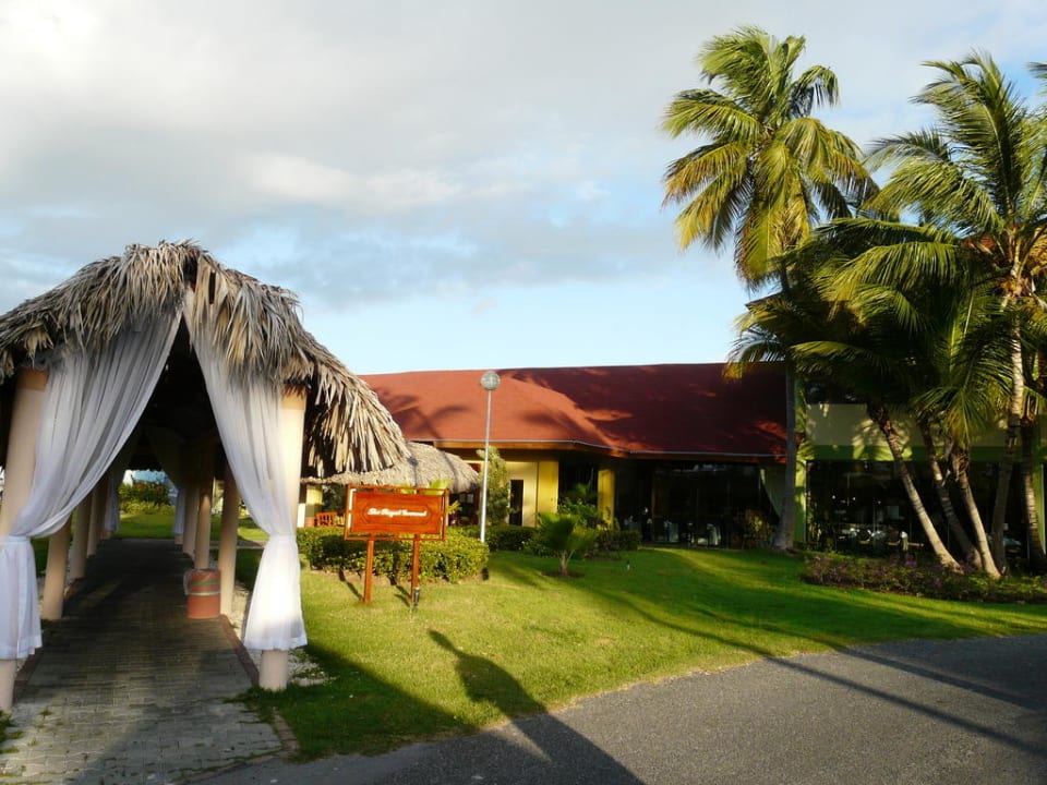 Restaurant TRS Turquesa Hotel - Adults only