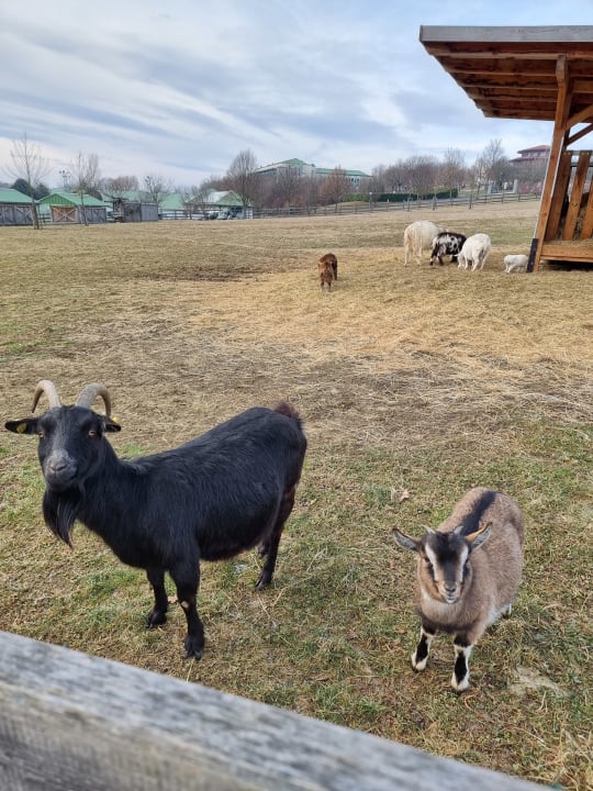 Sport & Freizeit Hotel Reiters Supreme