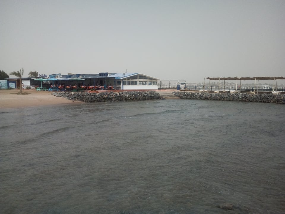 Ausblick Desert Rose