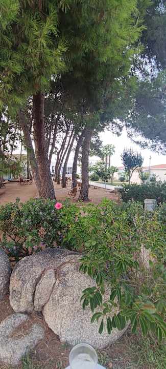 Gartenanlage TUI SUNEO La Conchiglia