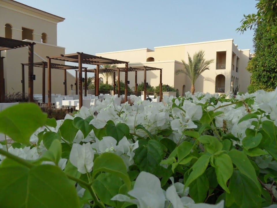 Hotel Iberotel AquaMarine Resort JAZ Aquamarine Resort