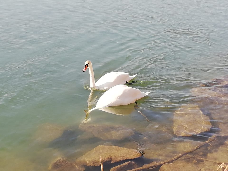 Sonstiges Hotel Gugerbauer