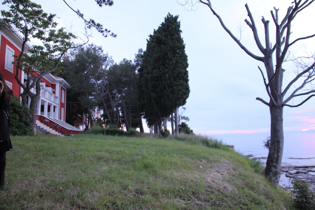 Ungepflegtes Gelände Villa Valdepian