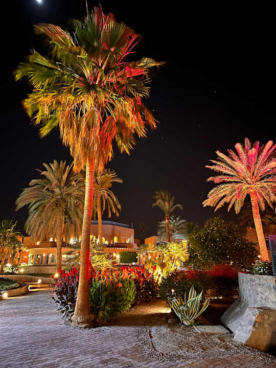 Gartenanlage Club Paradisio El Gouna, Red Sea