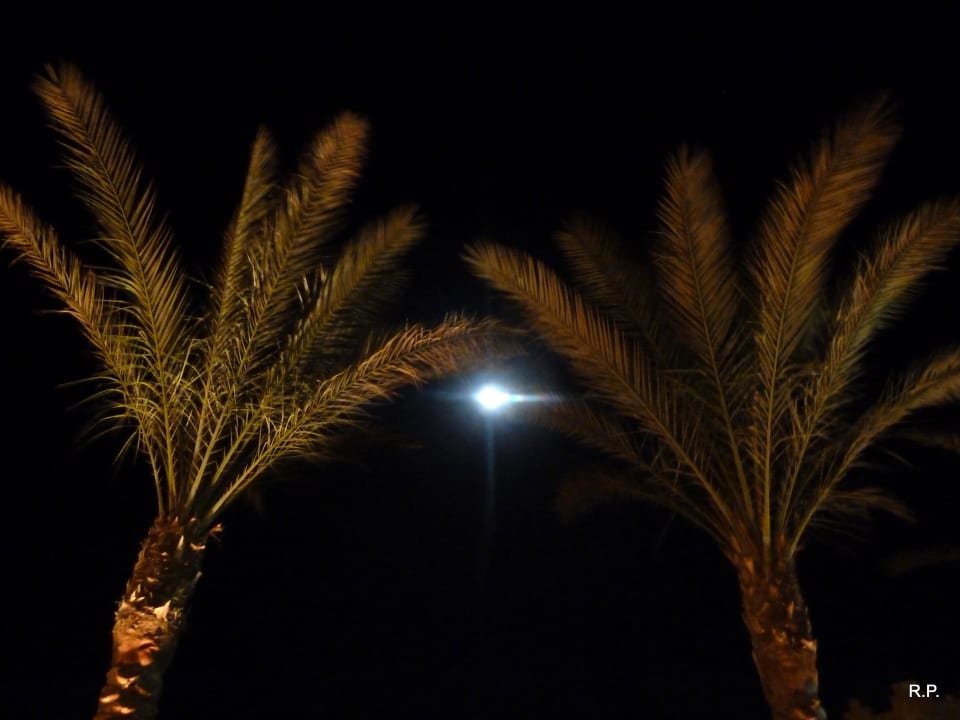 Vollmond Stella Beach Resort & Spa Makadi Bay