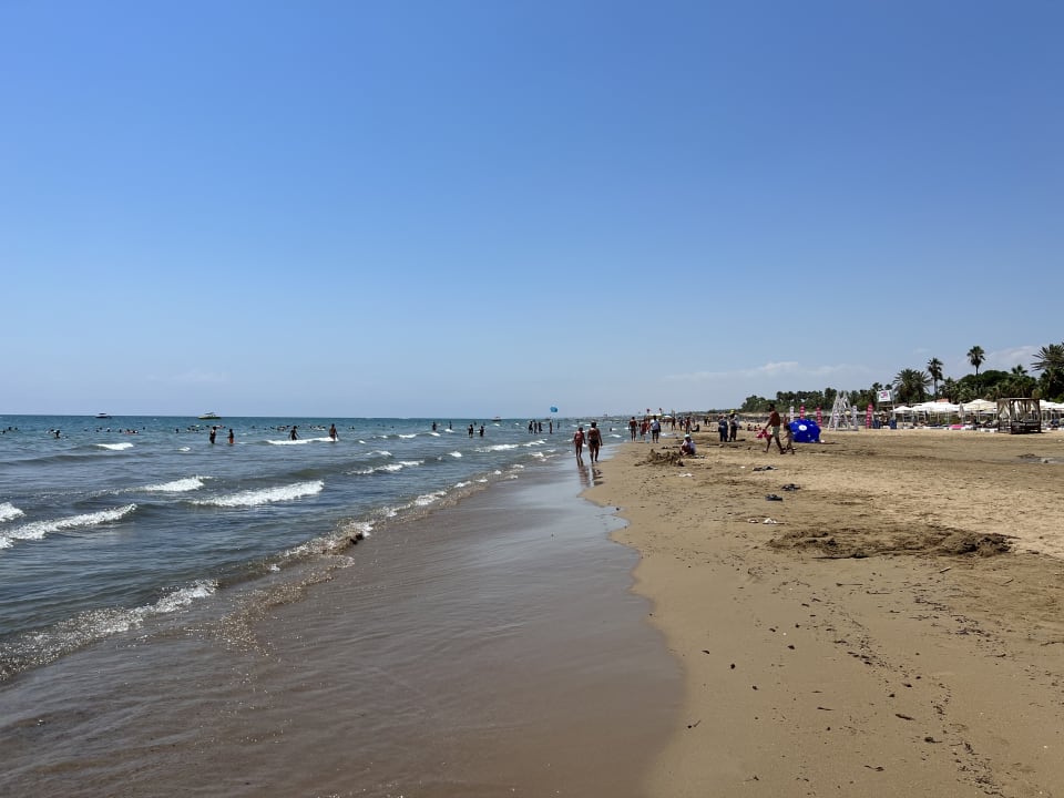 Strand Dream Water World