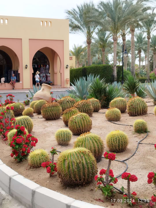 Gartenanlage Steigenberger Coraya Beach - Adults only