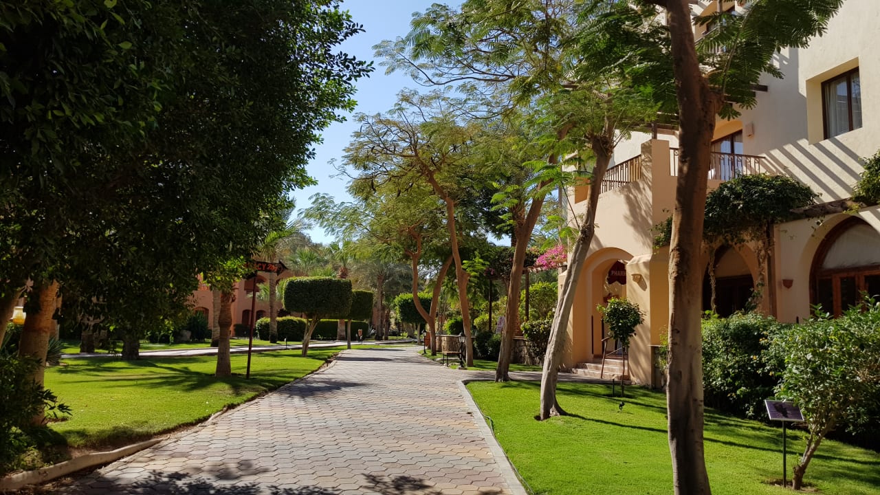 Gartenanlage Jaz Makadi Oasis Resort