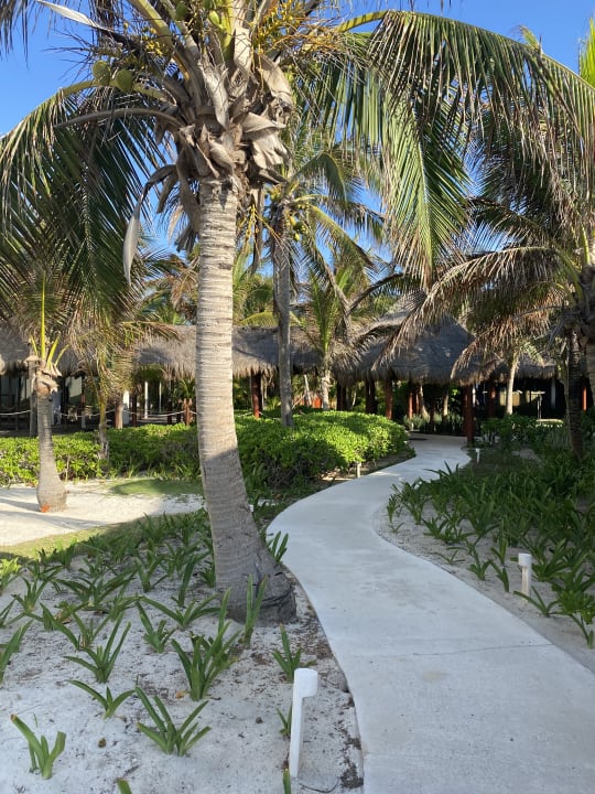 Garten Akumal Bay Beach & Wellness Resort