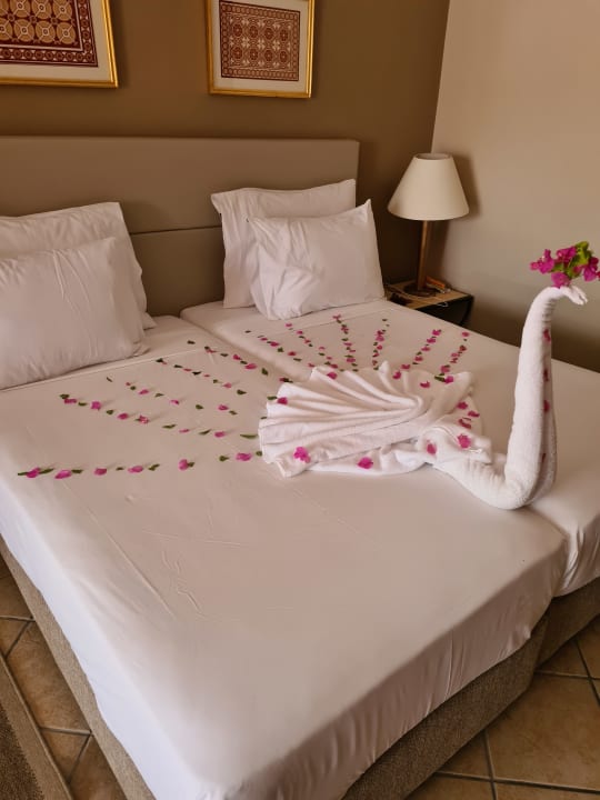 Zimmer Jaz Makadi Saraya Resort