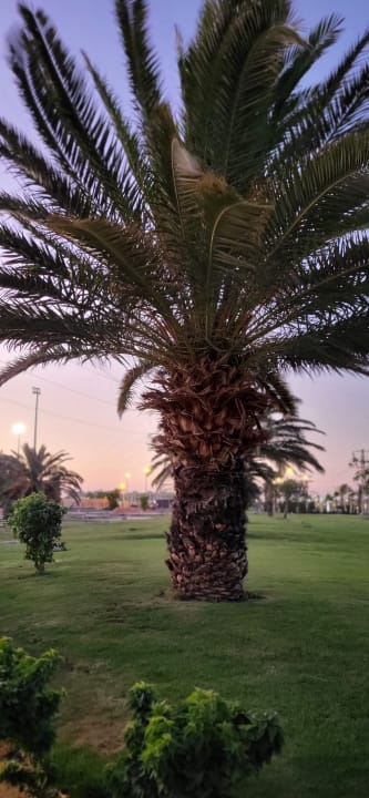 Gartenanlage Pickalbatros Alf Leila Wa Leila Resort - Neverland Hurghada