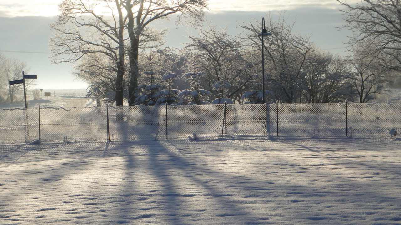 Zufahrt Haus Frantje - 19 Grad C im Jan. 2014 Haus Frantje