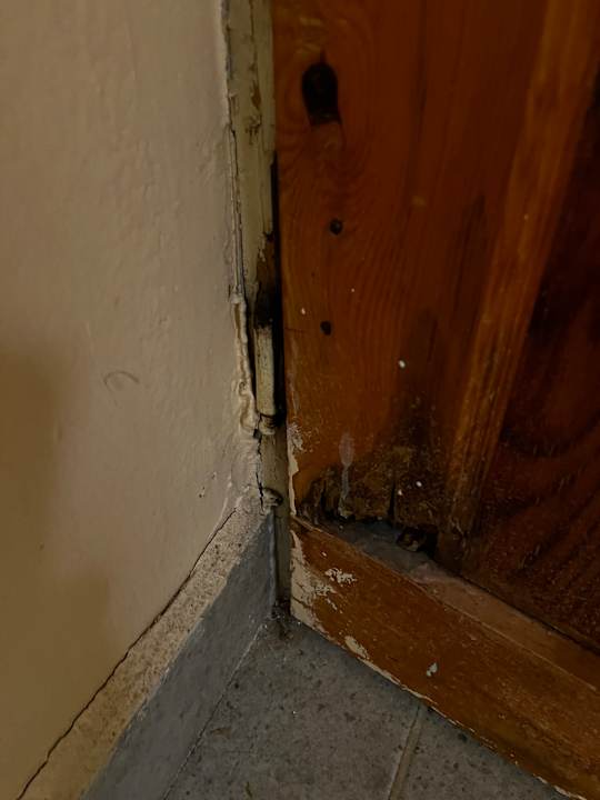 Zimmer Clover Magic Nova Beach