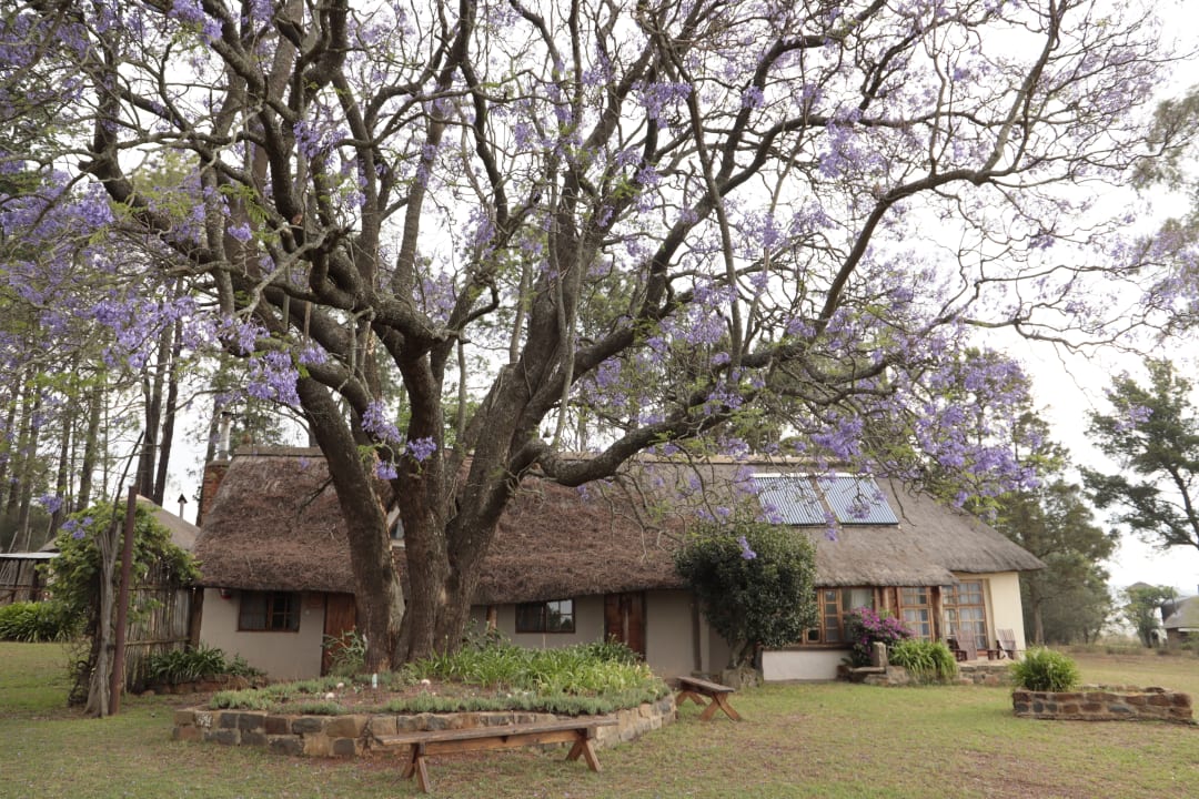 Außenansicht Hotel Antbear Guest House