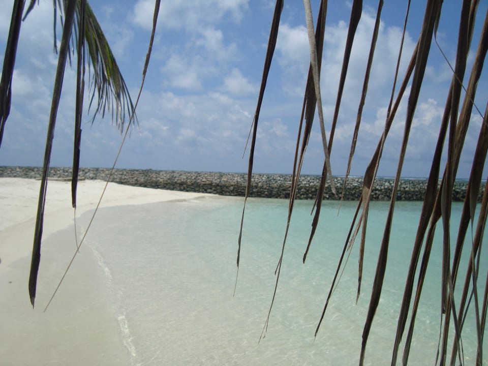 "Unser Strandabschnitt" Summer Island Maldives