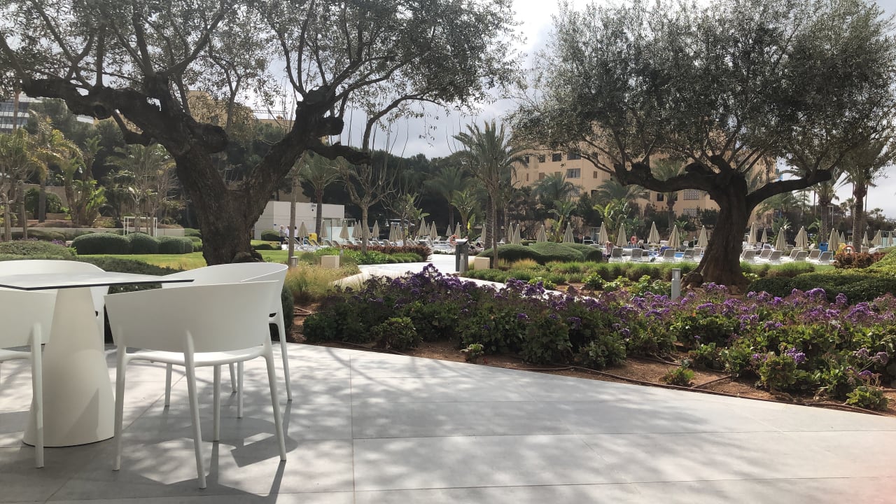 Gartenanlage Hipotels Gran Playa De Palma
