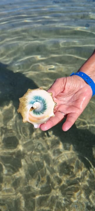 Strand Old Palace Resort Sahl Hasheesh