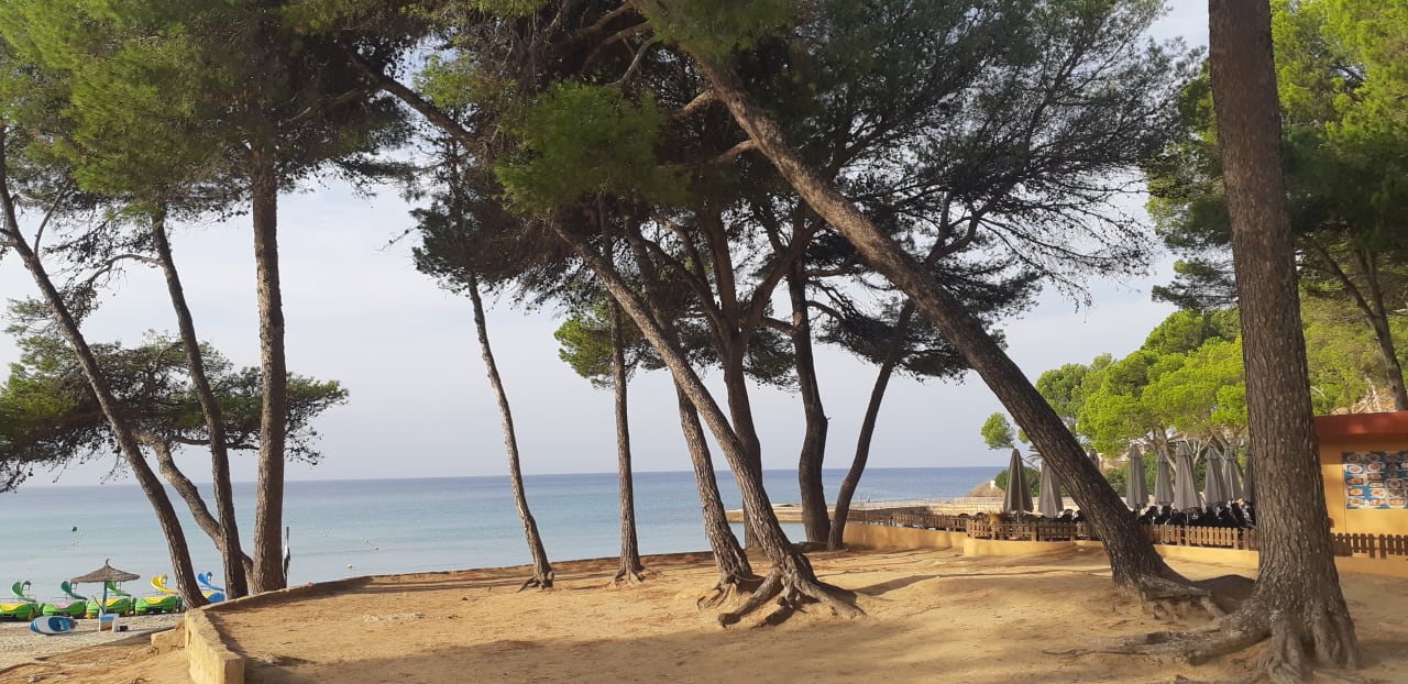 Gartenanlage Valentin Reina Paguera