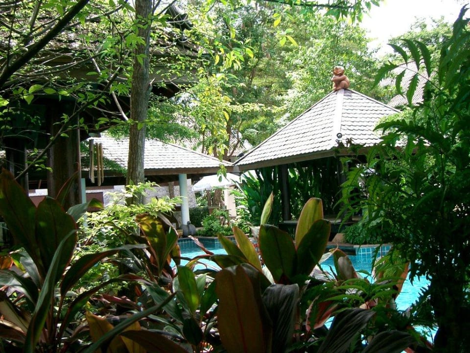 Blick auf Pool Woodlands Hotel & Resort