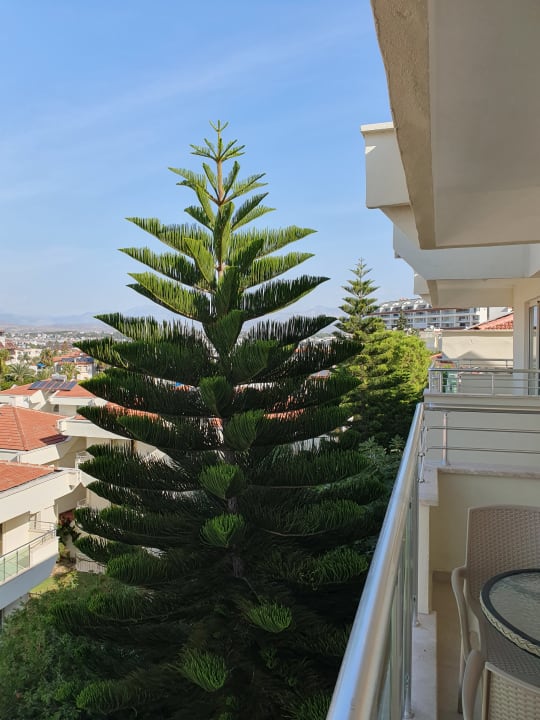 Ausblick Dream Family Club