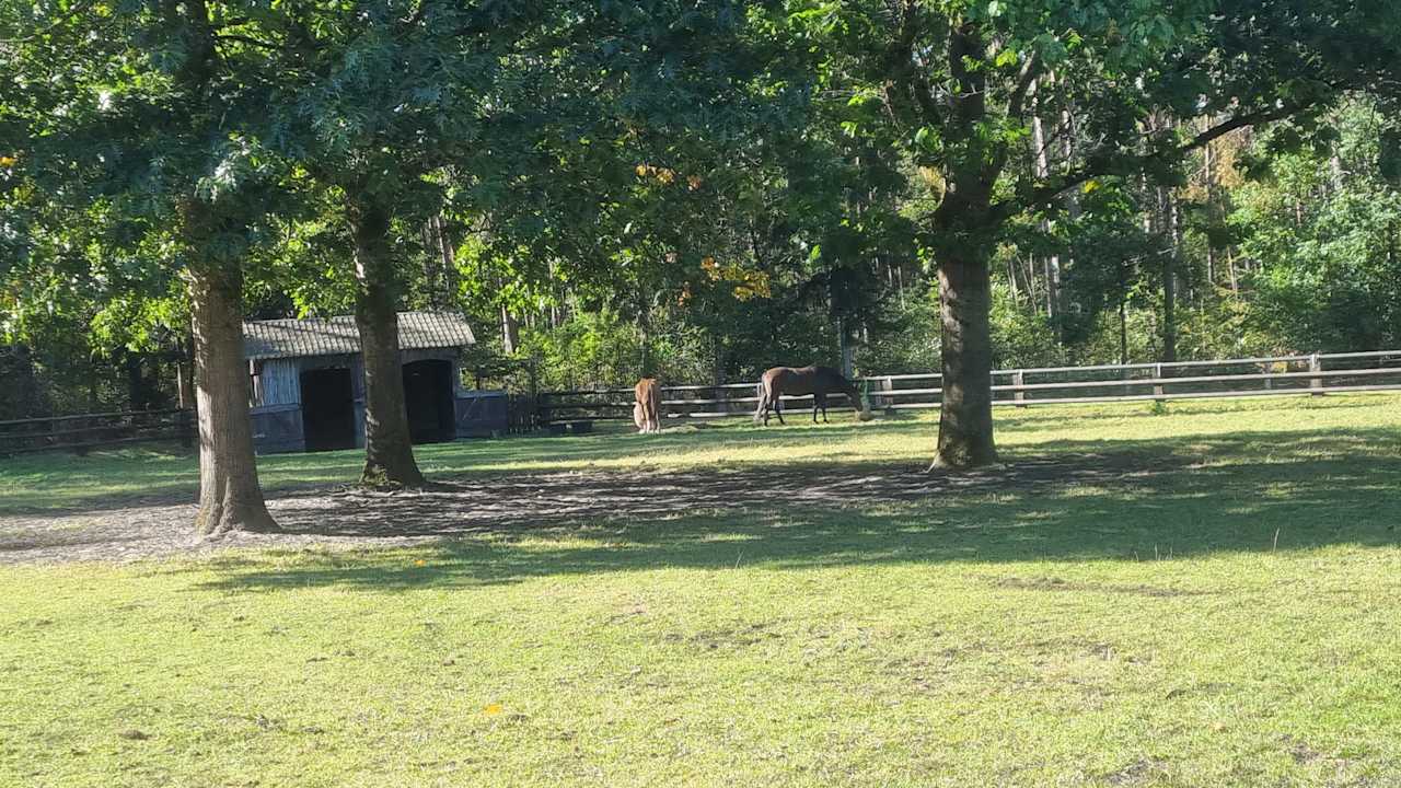 Außenansicht Ferienhof Zur Alten Fuhrmanns-Schänke