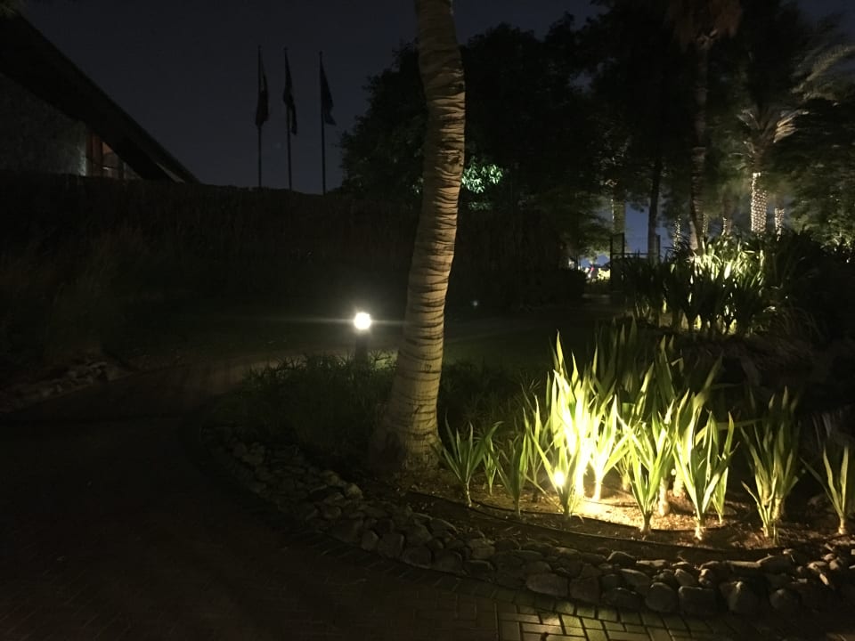 Gartenanlage JA Palm Tree Court