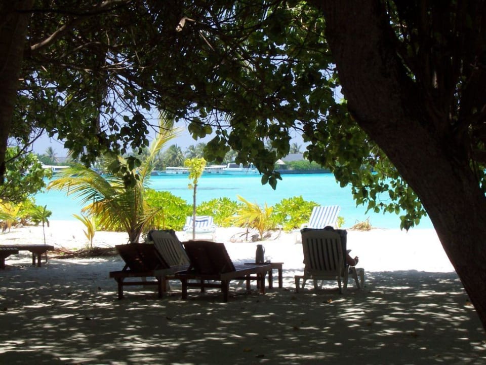 Super-Deluxe Bungalow Villa Park Sun Island