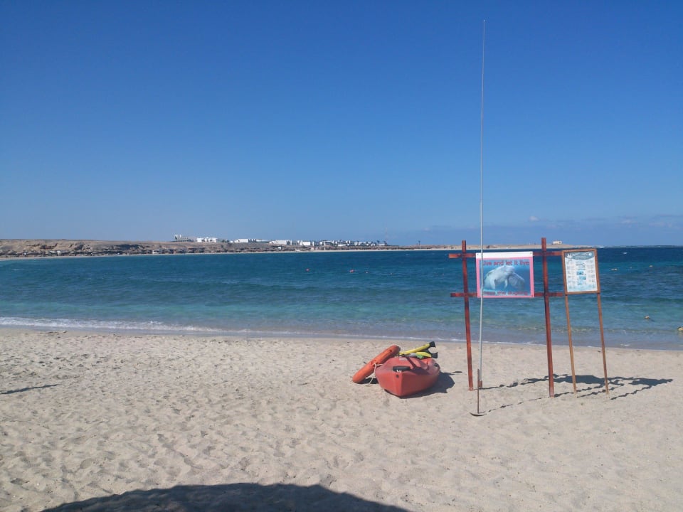 Plaża hotelowa,w oddali hotel Hilton Malikia Resort Abu Dabbab