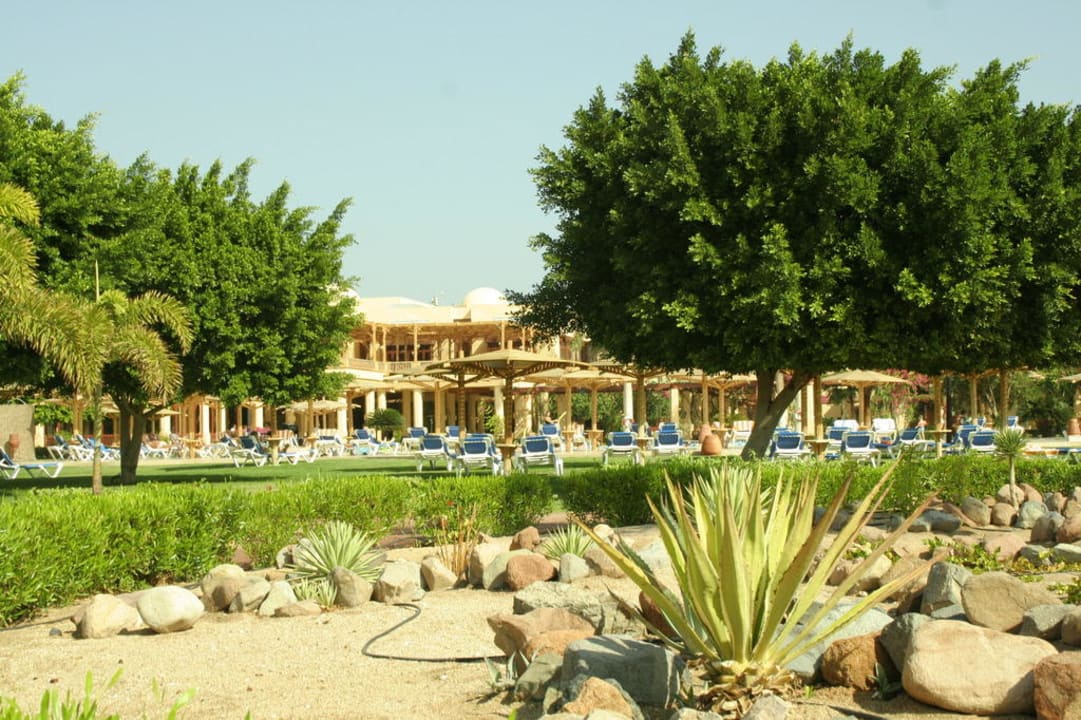 Garten ROBINSON SOMA BAY