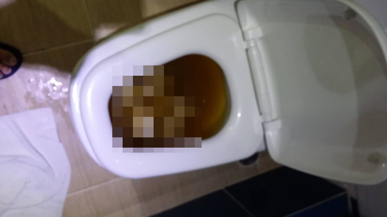 Klospülung,die in 2W. nur sporadisch funktionierte Hamaca Garden