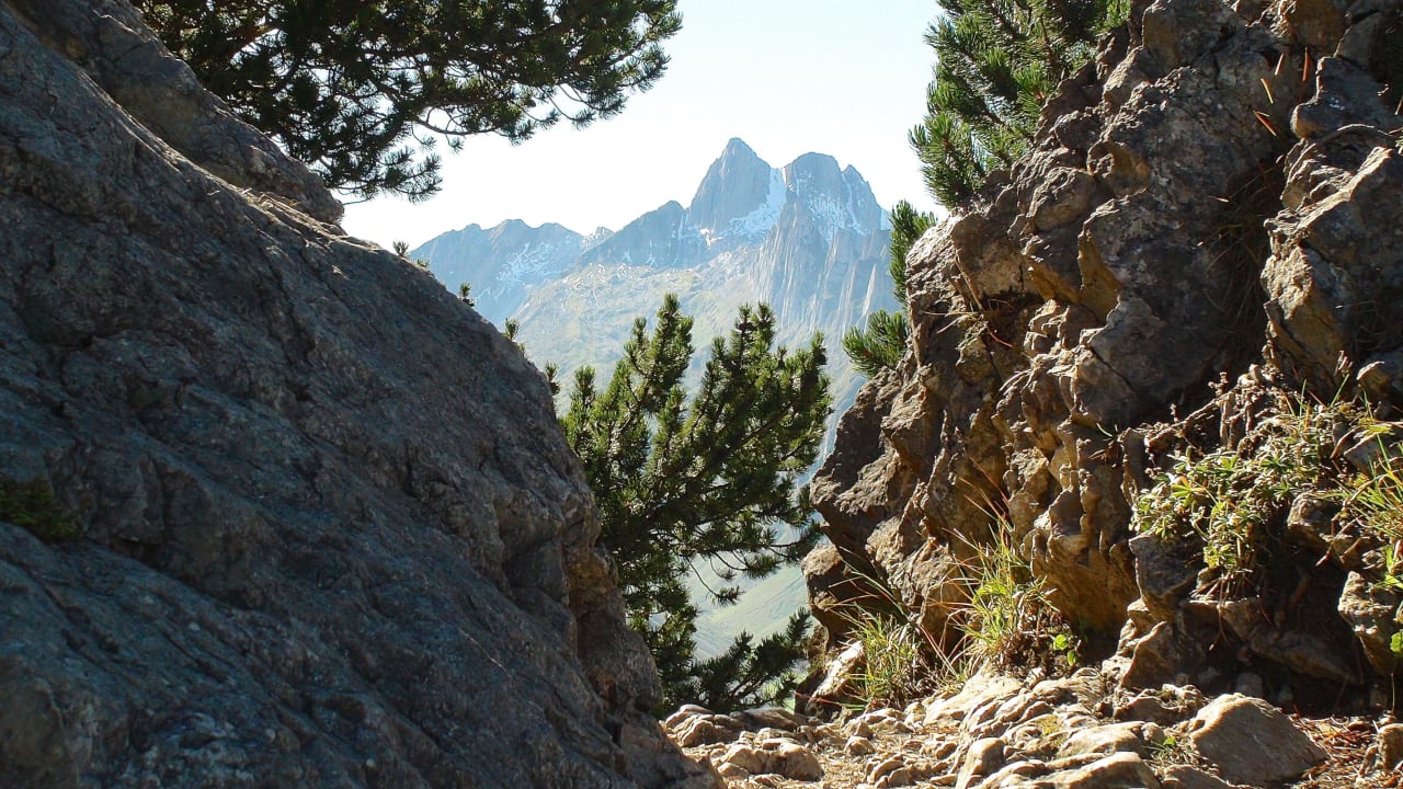 Idyllische Wanderwege Berggasthaus Bollenwees