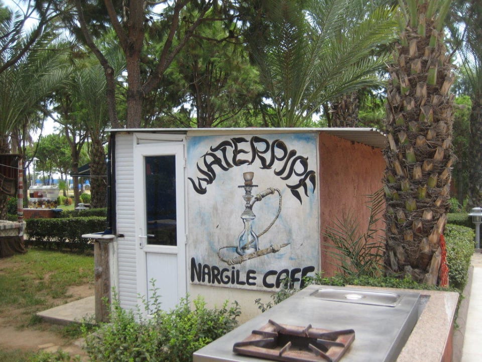 ShiSha-Bar Club Turtas Beach Hotel