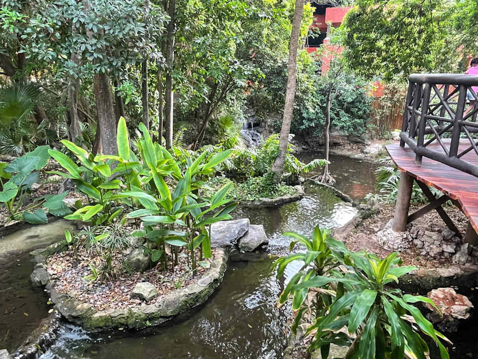 Gartenanlage Iberostar Waves Tucan