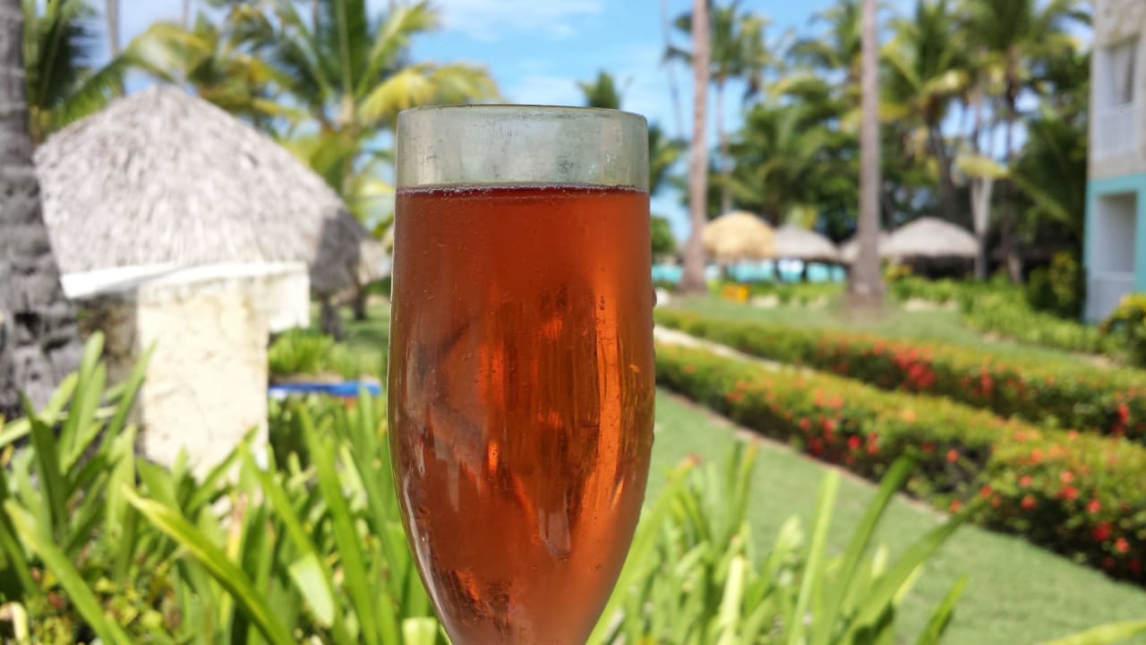 Schmutzränder an Bechern der Poolbar Royal Bereich TRS Turquesa Hotel - Adults only